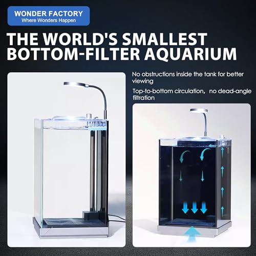1.5 Gallon Float Glass Fish Tank Starter Kit G83506