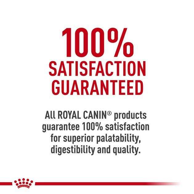 Veterinary Diet Canned Dog Food O22330