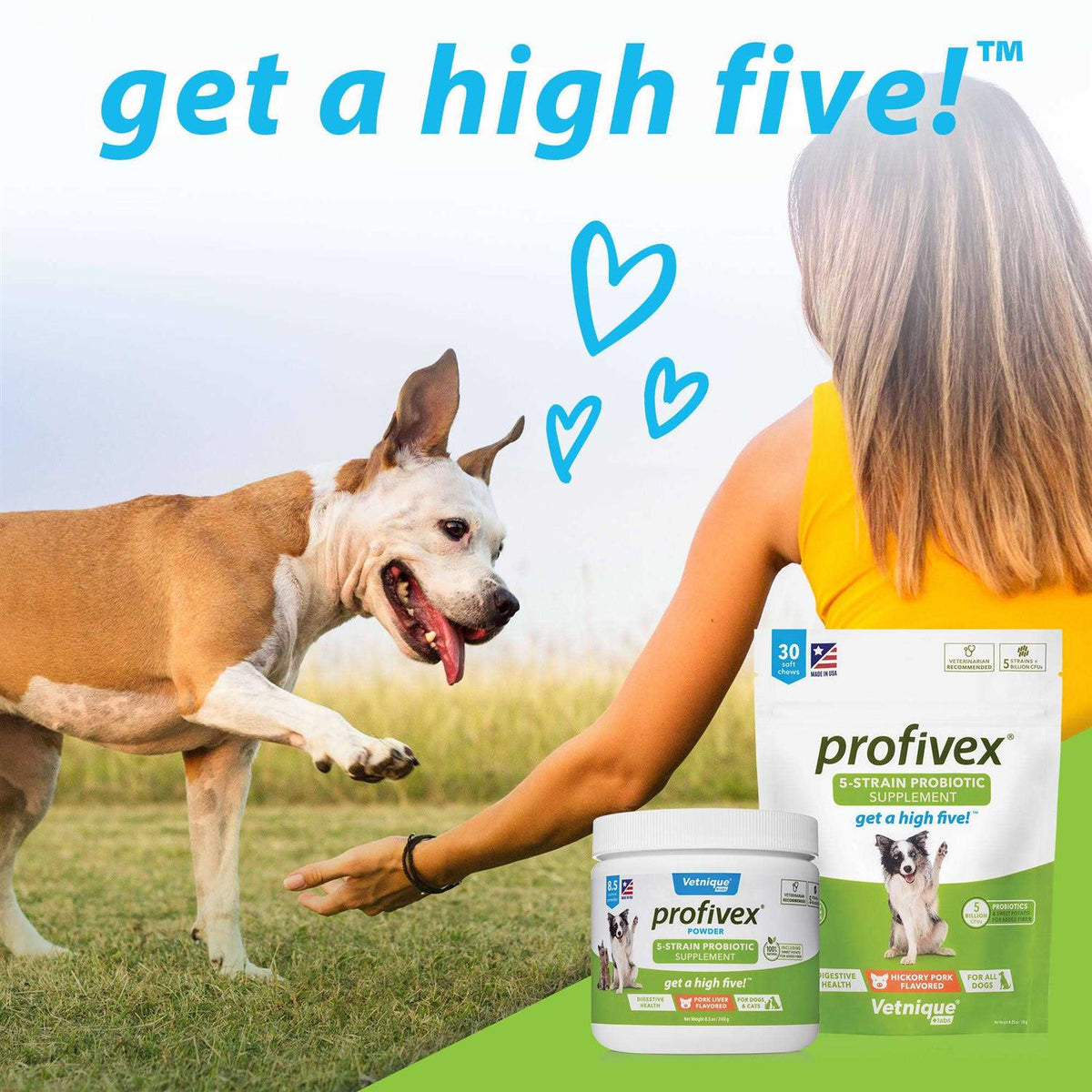 Probiotic Powder for Dogs & Cats F2024
