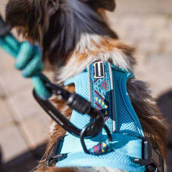 Harness H138