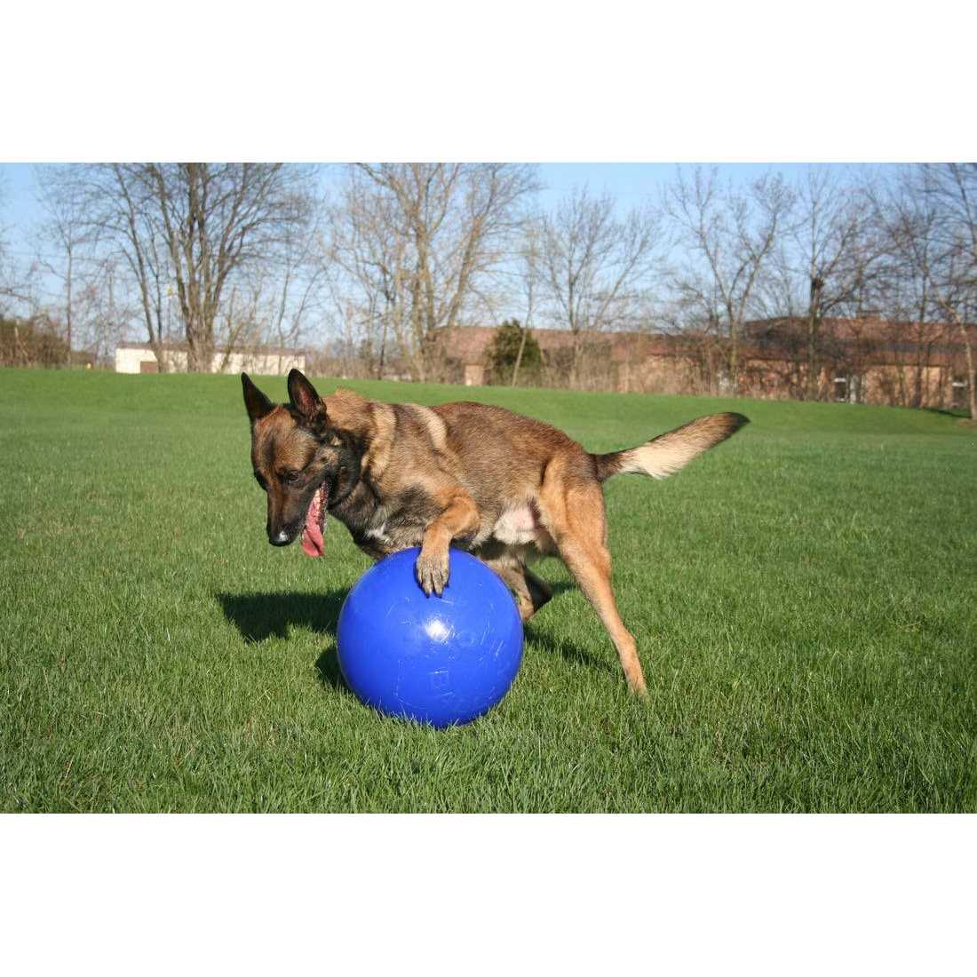 Push n Play Ball S869858