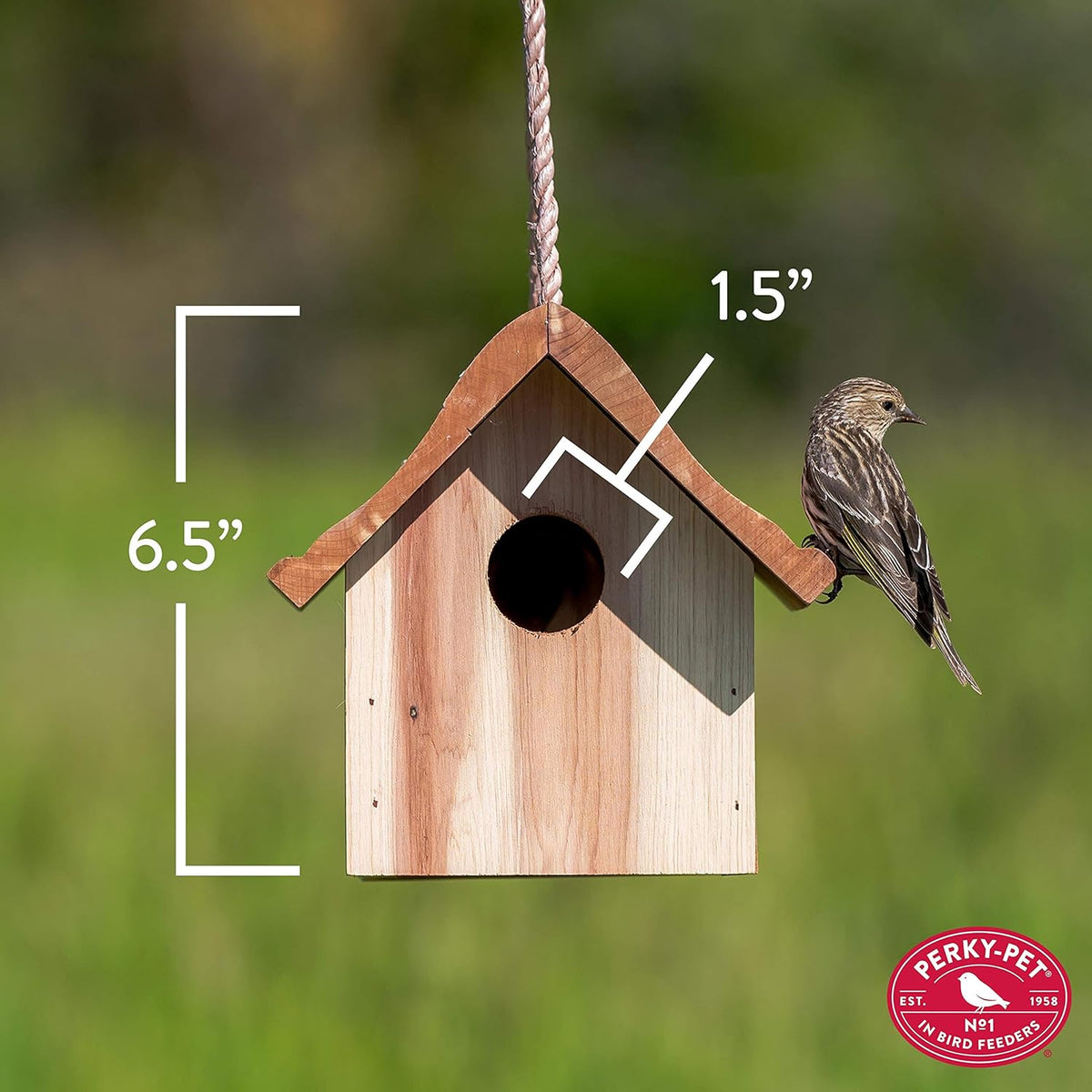 Birdhouse K84249