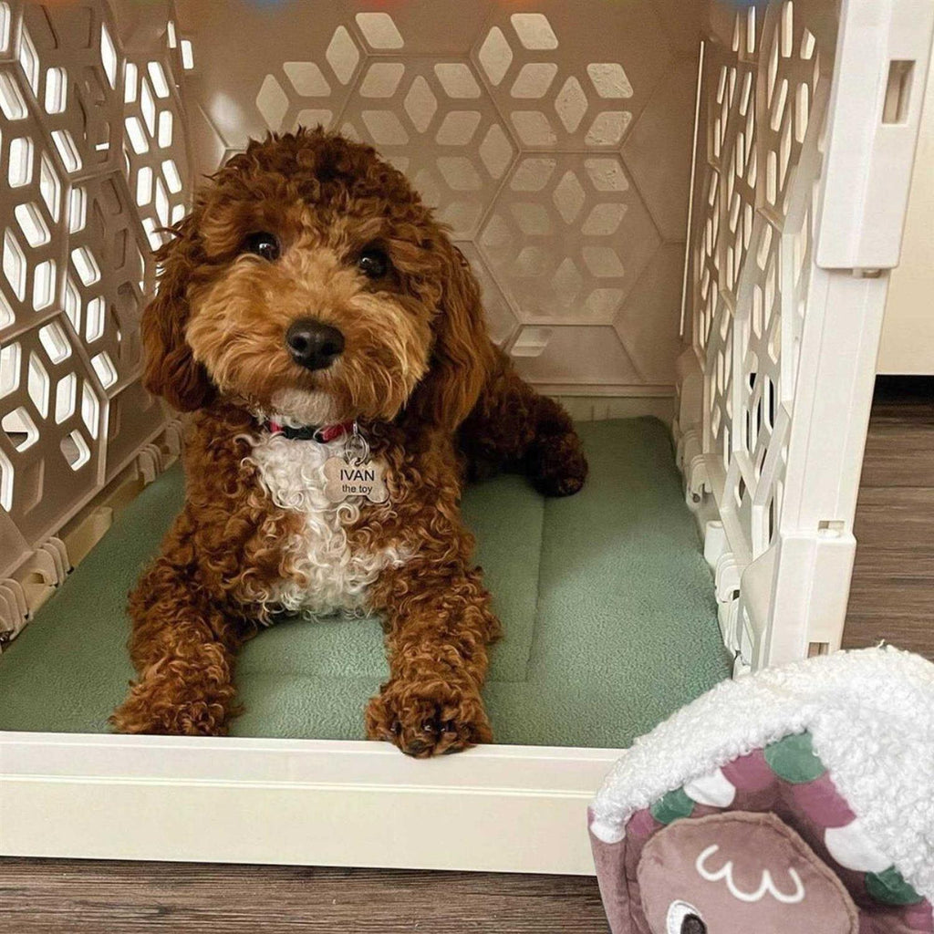 Cat and Dog Crate Pad N502999