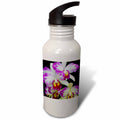 21 oz Sports Water Bottle N214