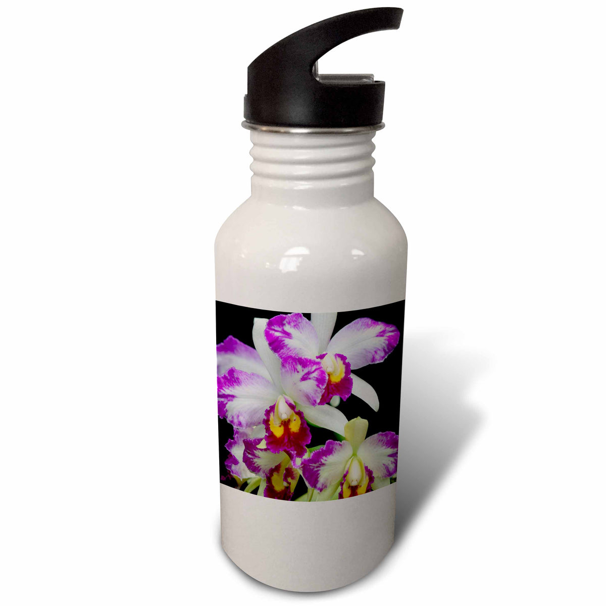 21 oz Sports Water Bottle N214