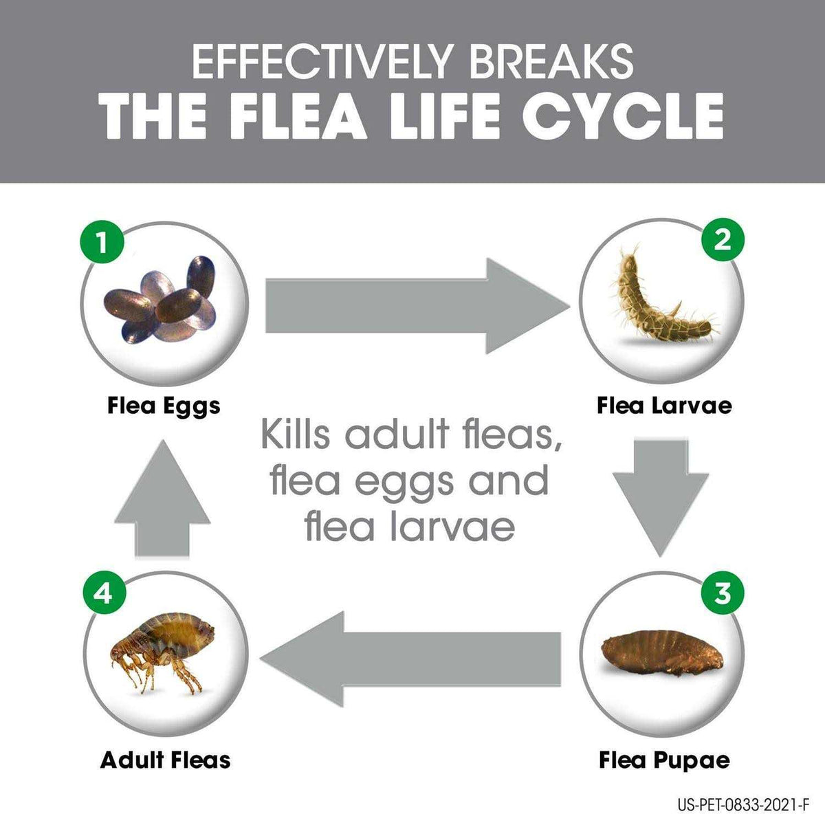 Flea & Tick for Cats M46288
