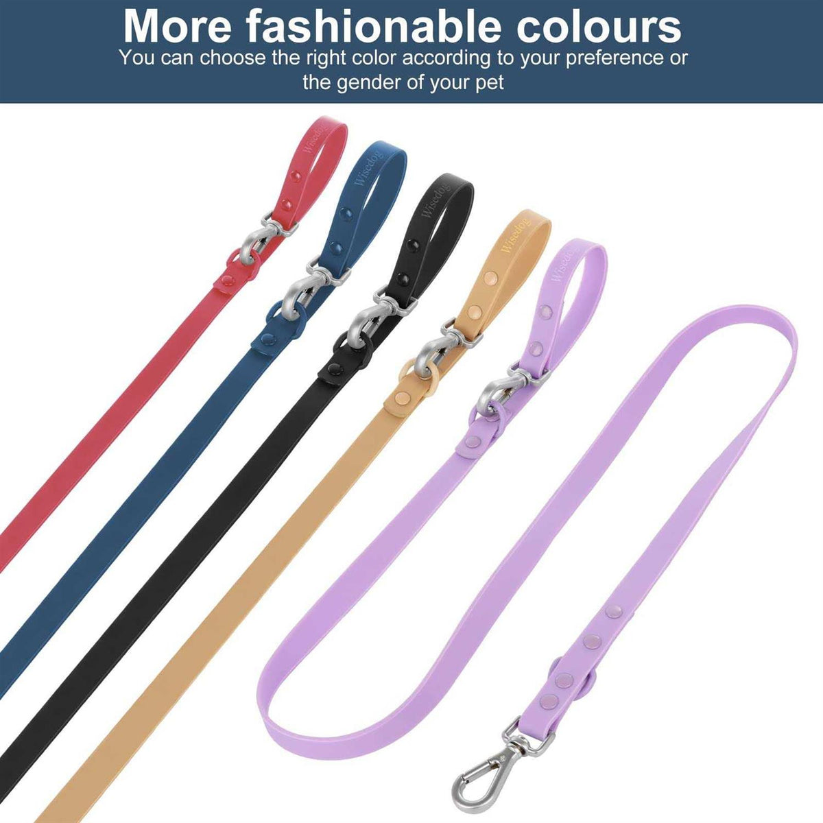 Waterproof Dog Leash with 2 Hooks X172982