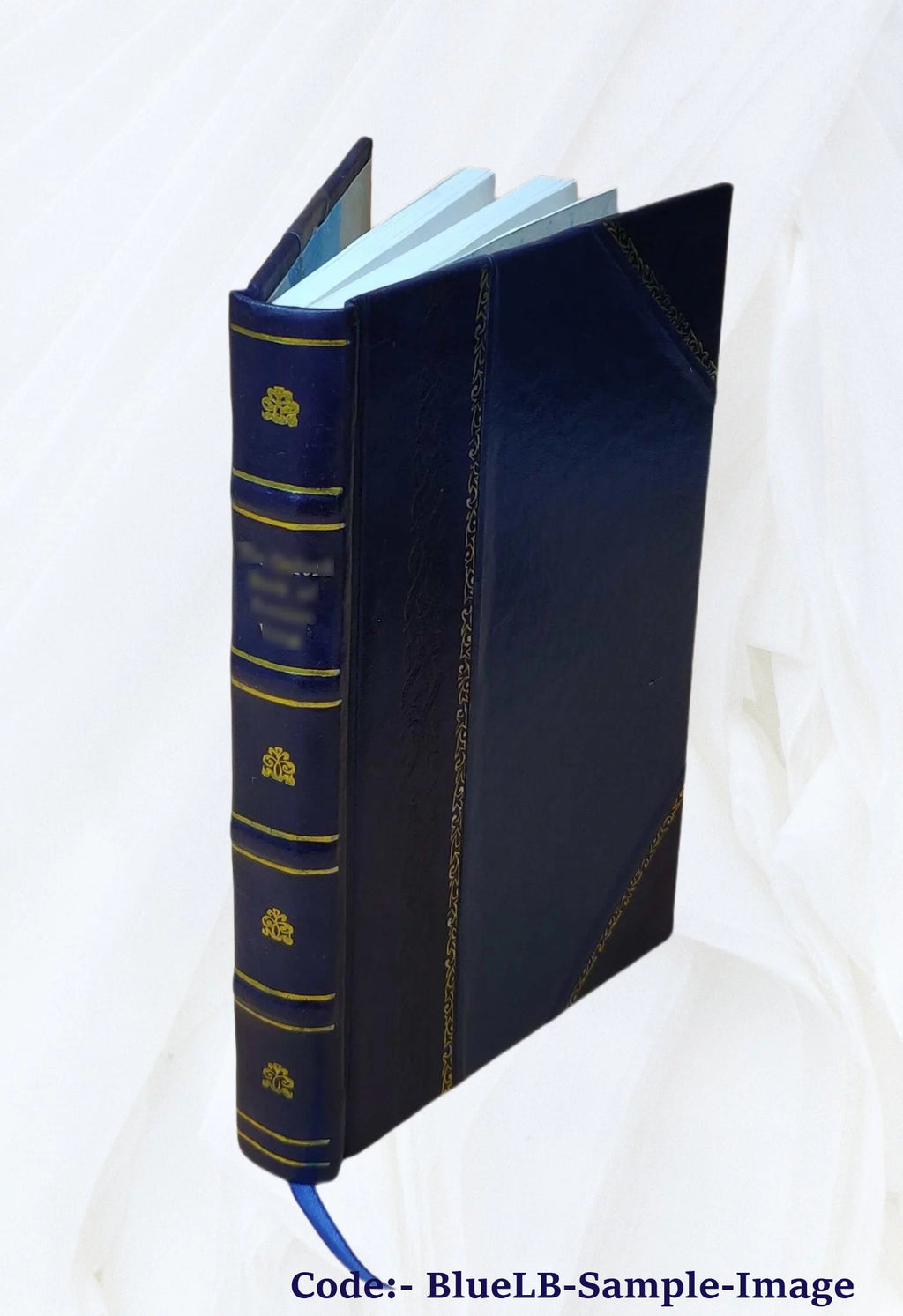English Forays Buccaneers Ships Sailors Leather Bound U12089