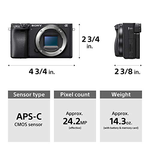 Black Compact APS-C Mirrorless Camera with 16-50mm Lens F8004