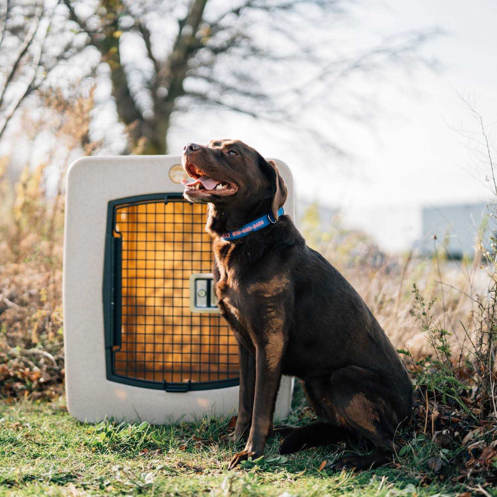 Framed Door Kennel M34166