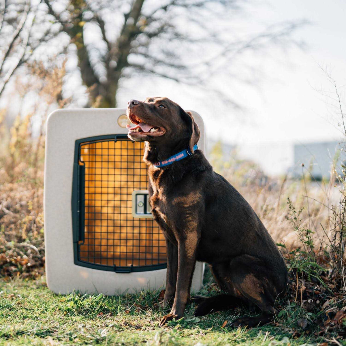 Framed Door Kennel M34166