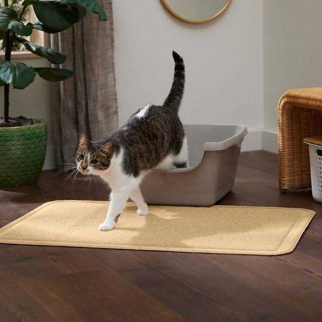 Rectangular Cat Litter Mat T8152