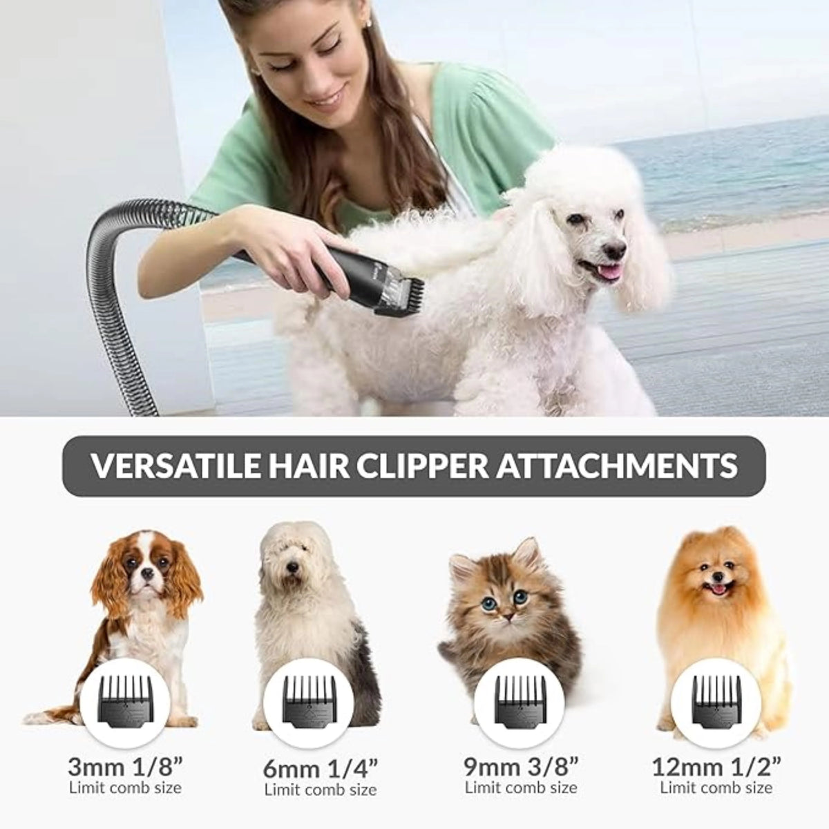 4 in 1 Bagless Pet Grooming Vacuum Z13313
