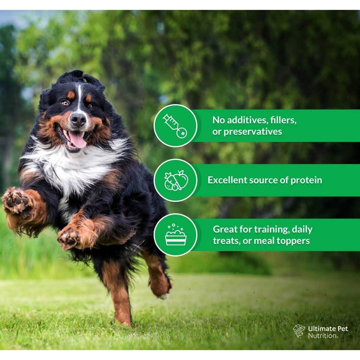 Freeze-Dried Dog Treats H809