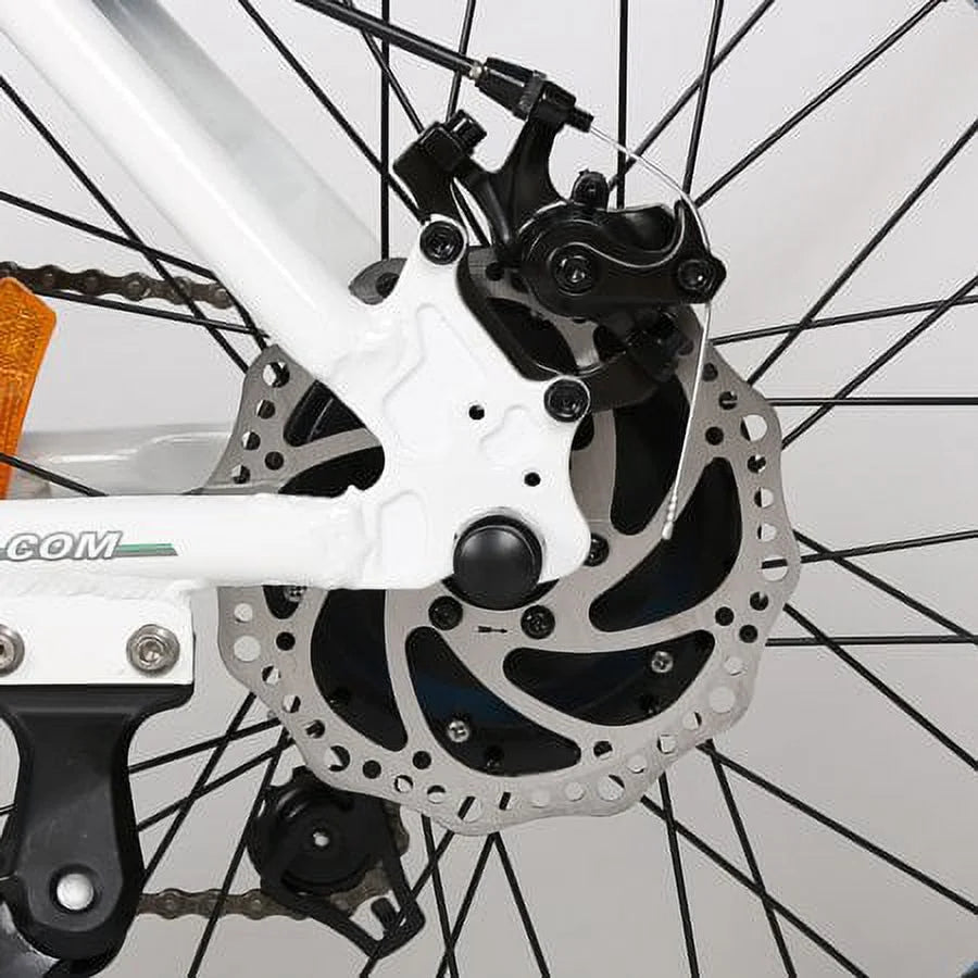 20" Fat Tire Folding Electric Bike B699