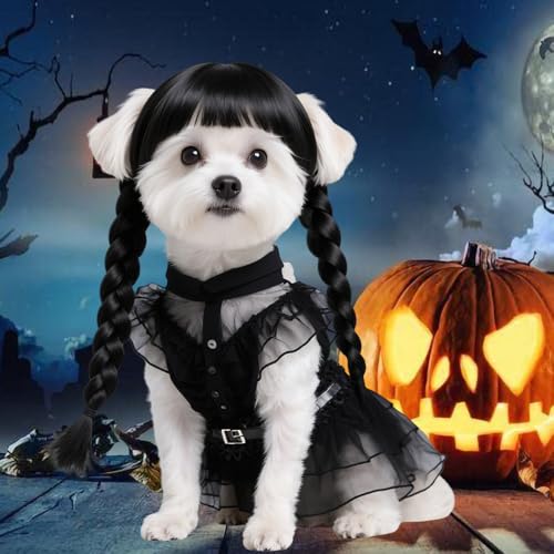 Black Dog Costume with Wig and Belt T2217