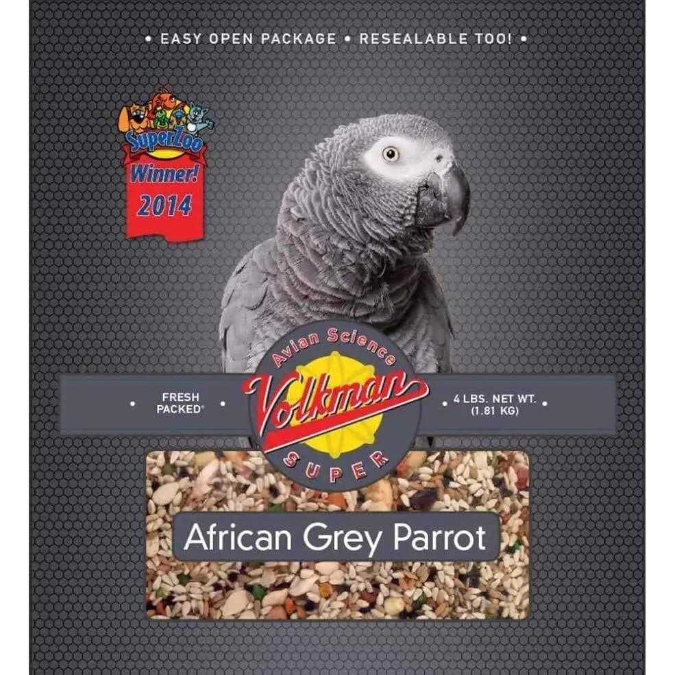 African Grey L99778