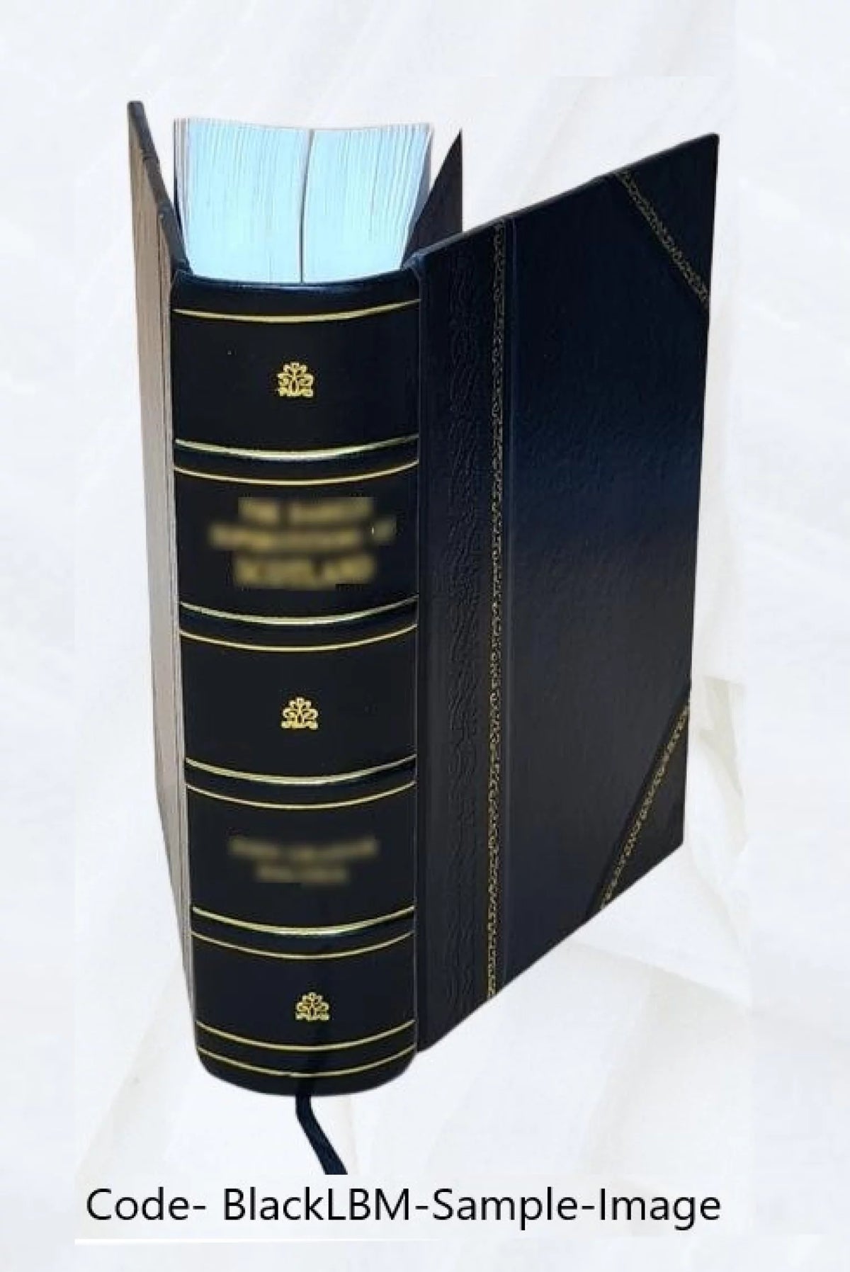 Leather Bound Book Z1454