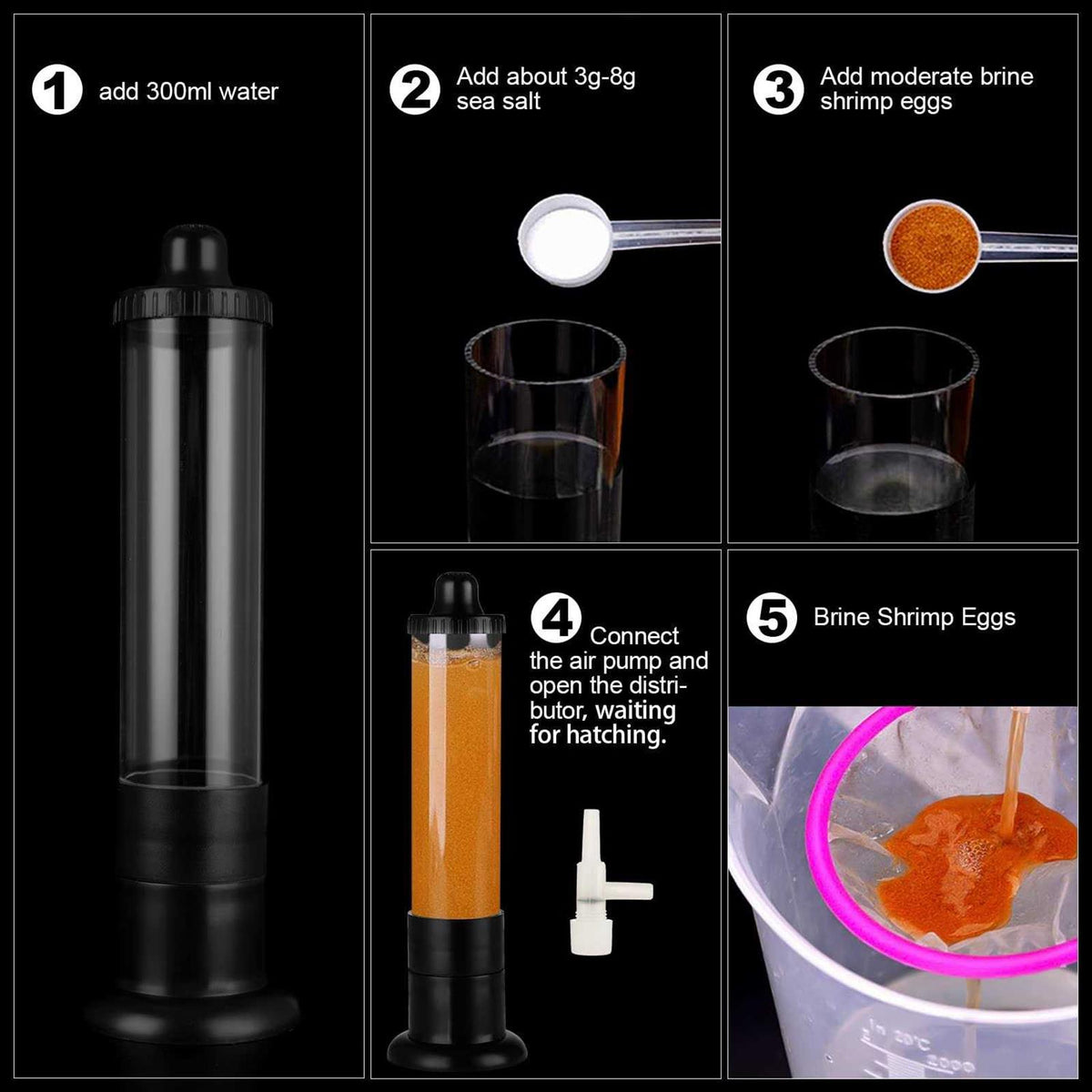 Brine Shrimp Eggs Incubator Hatchery Kit U884