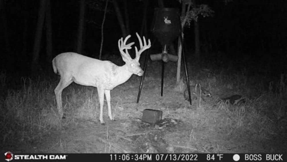 32MP 1080P Video Trail Camera with Security Box M487697