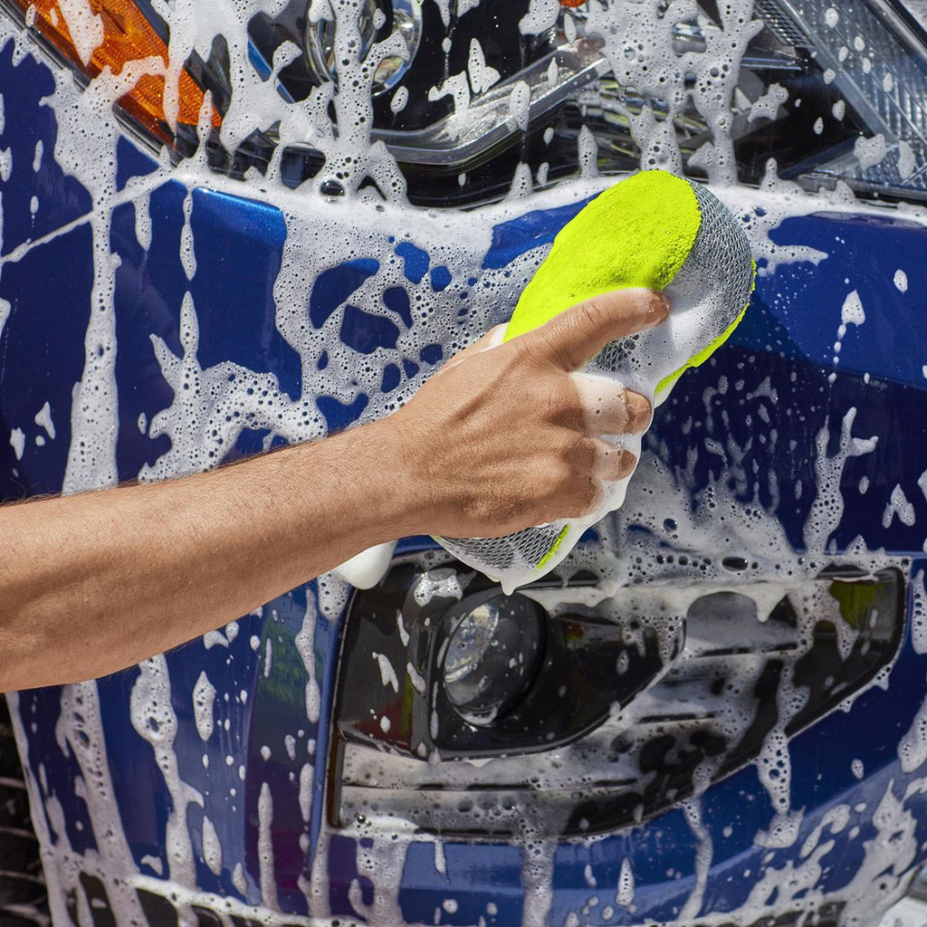 Wash and Bug Sponge C2621
