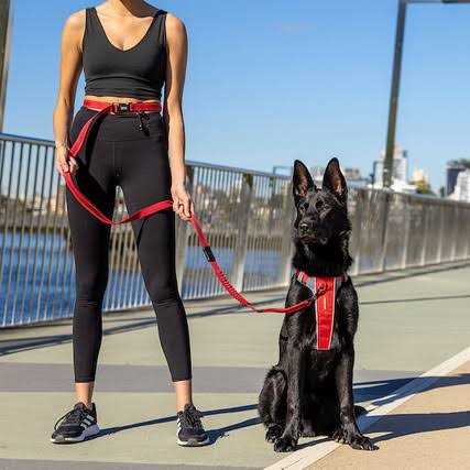 Road Runner Leash C40623