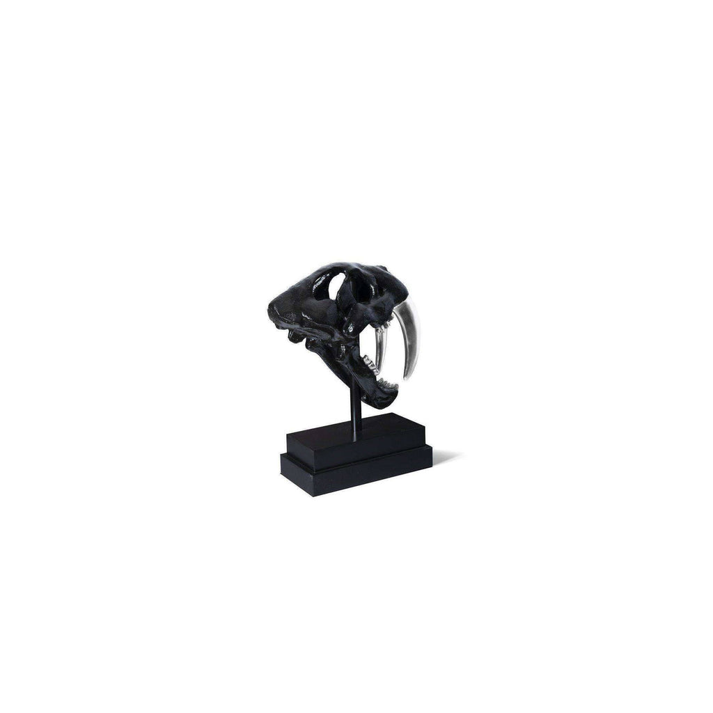 Black Saber Tooth Tiger Skull O600884