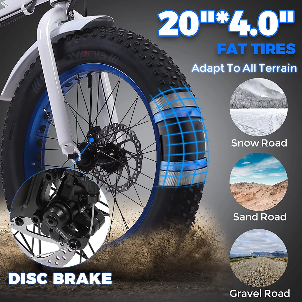 20" Fat Tire Folding Electric Bike B699