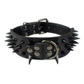 Leather Dog Collar 2 Inch E660921