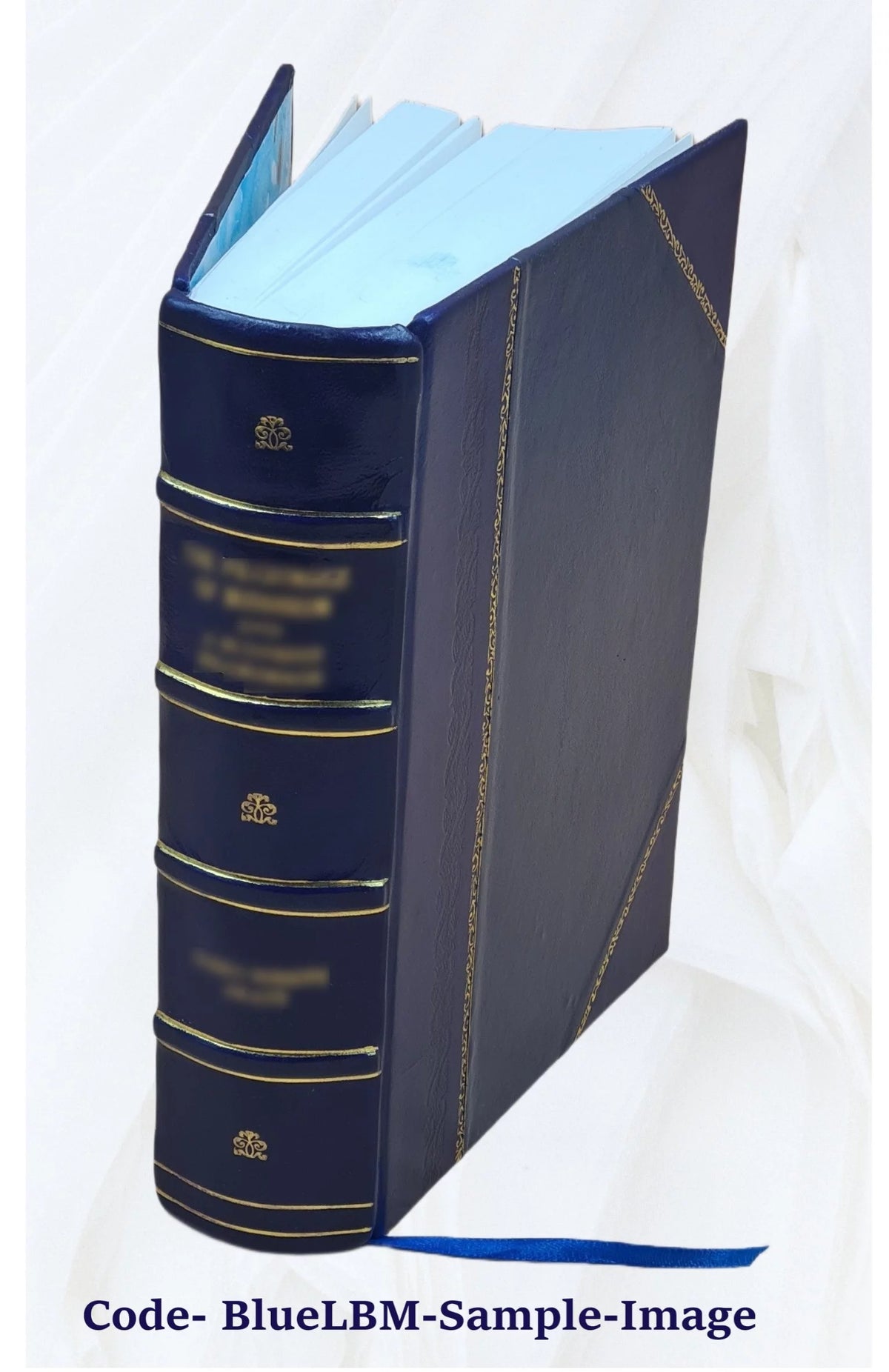 Leather Bound Book Z1454