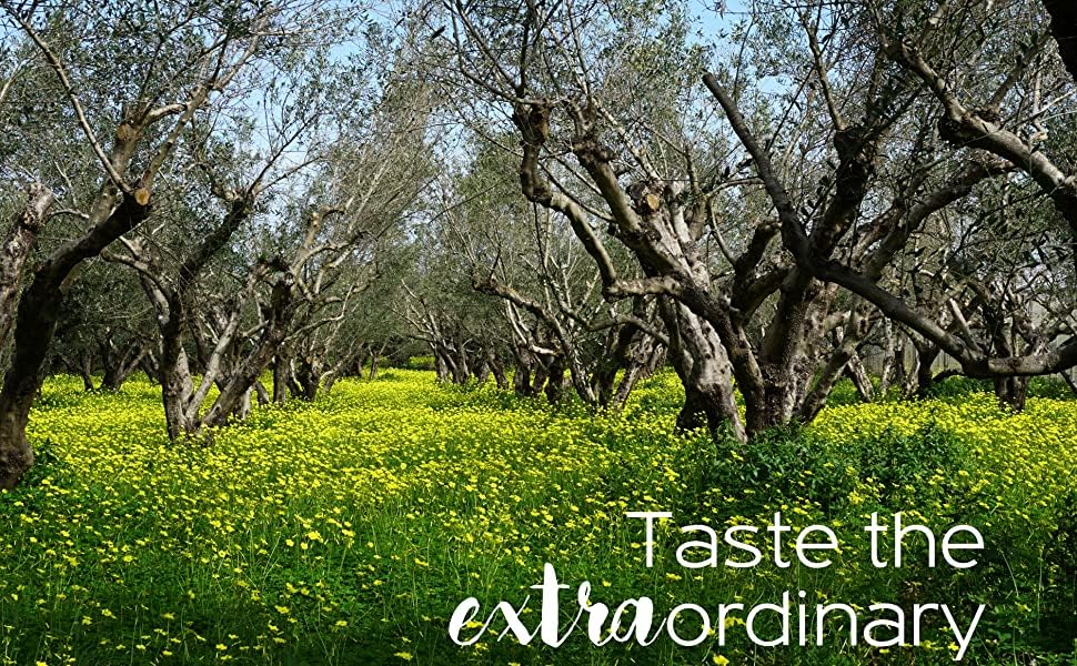 Greek Extra Virgin Olive Oil 3 Ltr Tin J21853