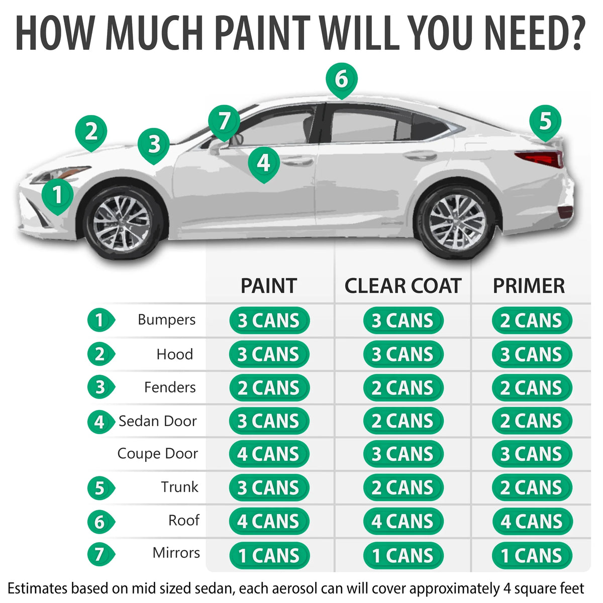 Aerosol Spray Touch Up Paint Clearcoat Primer and Pro Prep Kit V72138