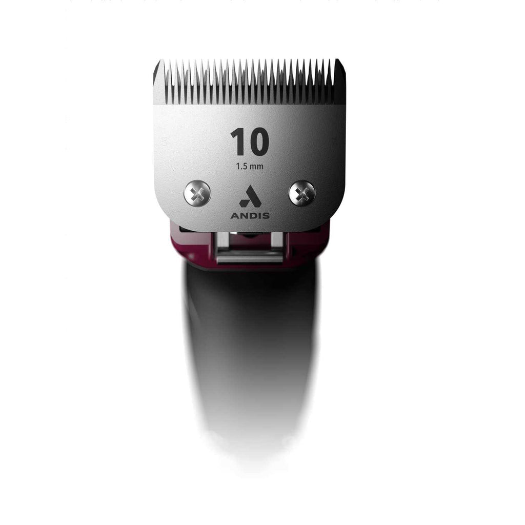 5 Speed Clipper Fuchsia W949
