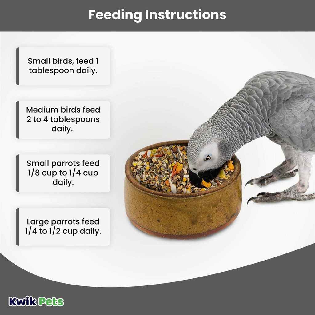 African Grey L99778
