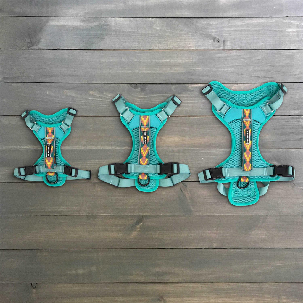 Harness H138