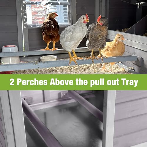 Chicken Coop with Nesting Box Waterproof Duck Coop Q32145