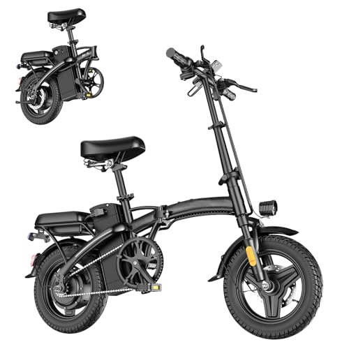 Peak 500W 23MPH Folding Electric Bike 48V 12AH D799655