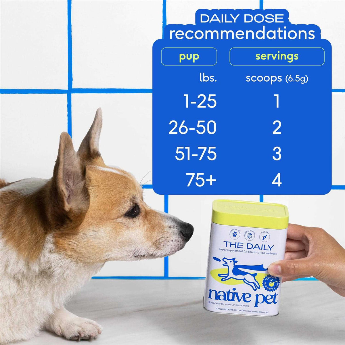 Dog Supplement X53356