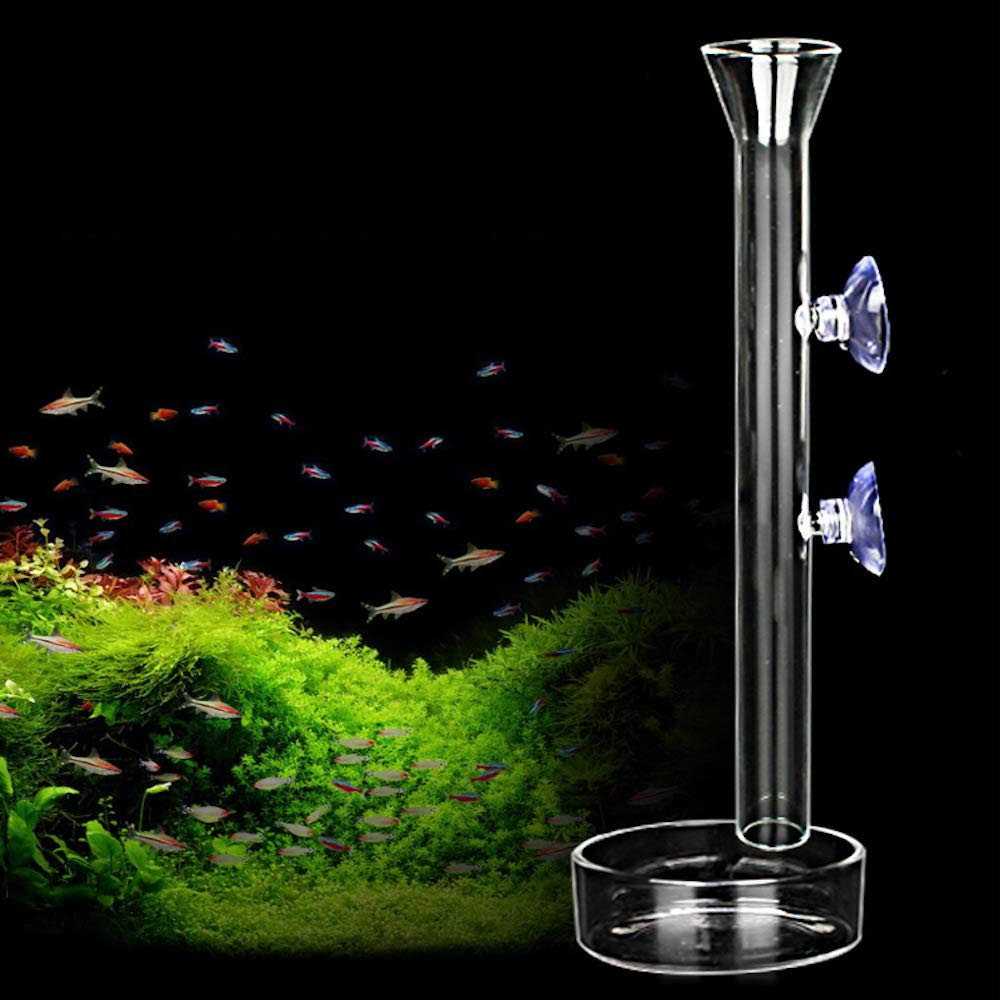 Aquarium Shrimp Feeding Tube and Dish Clear Crystal Glass T4657