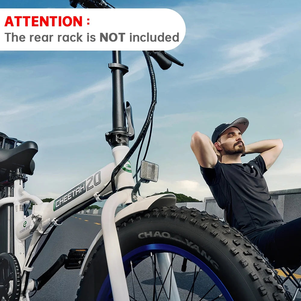 20" Fat Tire Folding Electric Bike B699