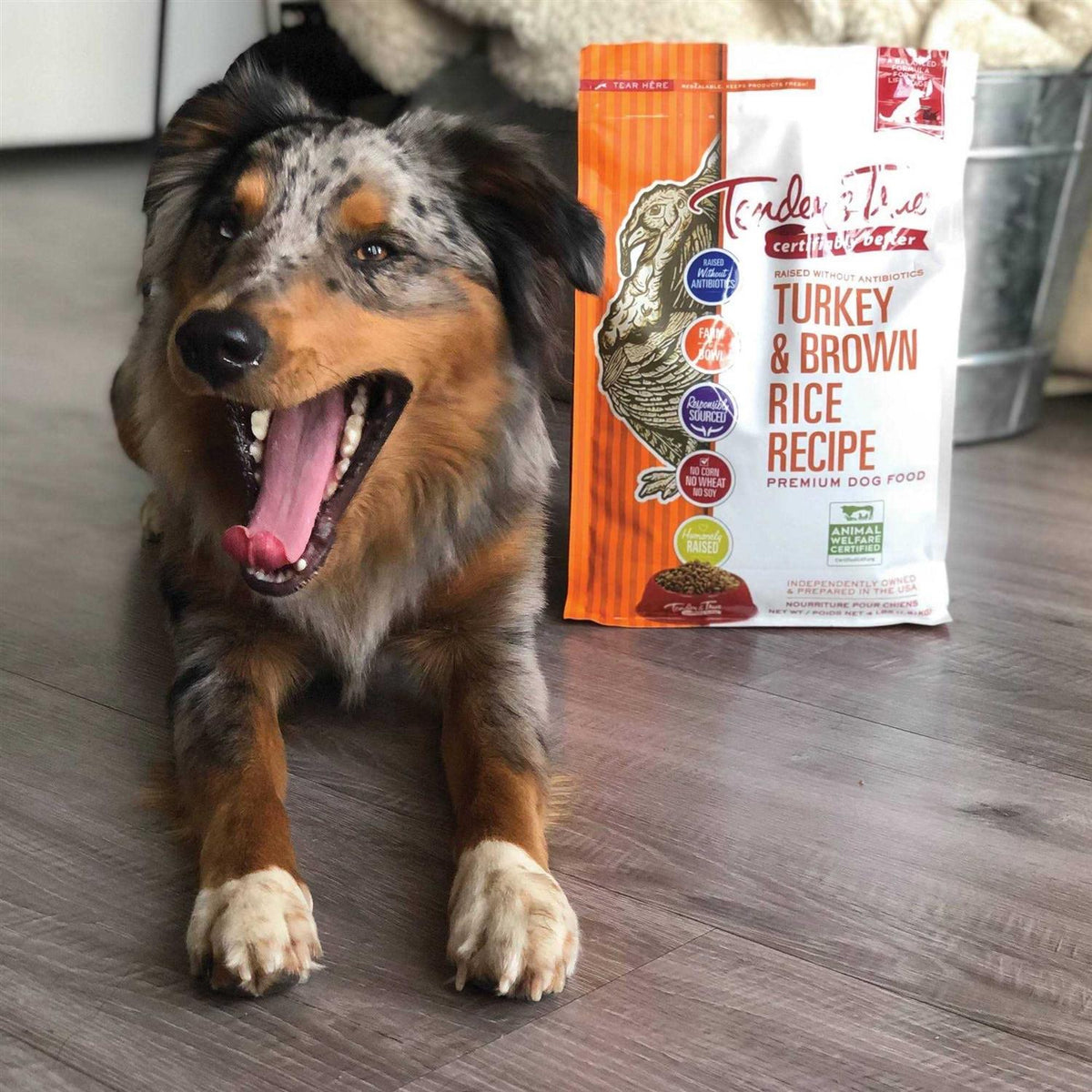 Turkey and Brown Rice Recipe Dry Dog Food L764046