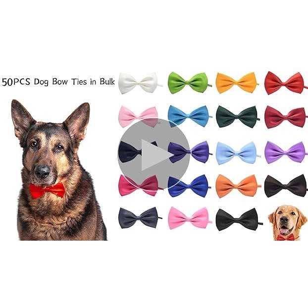 Dog Bow Ties with Adjustable Collar J253