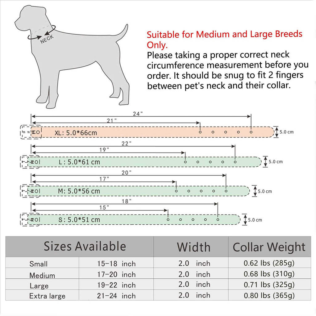 Leather Dog Collar 2 Inch E660921