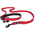Road Runner Leash C40623