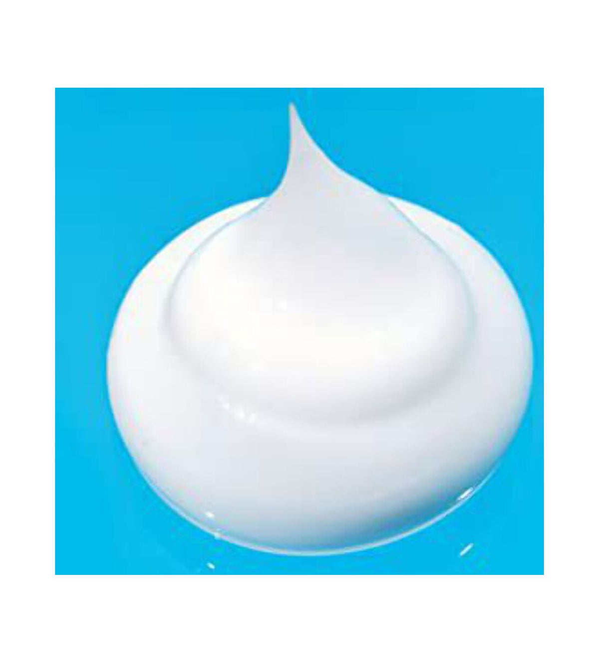Lightweight Daily Moisturizer Facial Lotion with Macadamia Oil and Shea Butter E47319