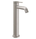 Single Hole Lavatory Faucet R600163