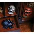 Hidden Screamer Halloween Decor Assortment - Pack of 12 E335