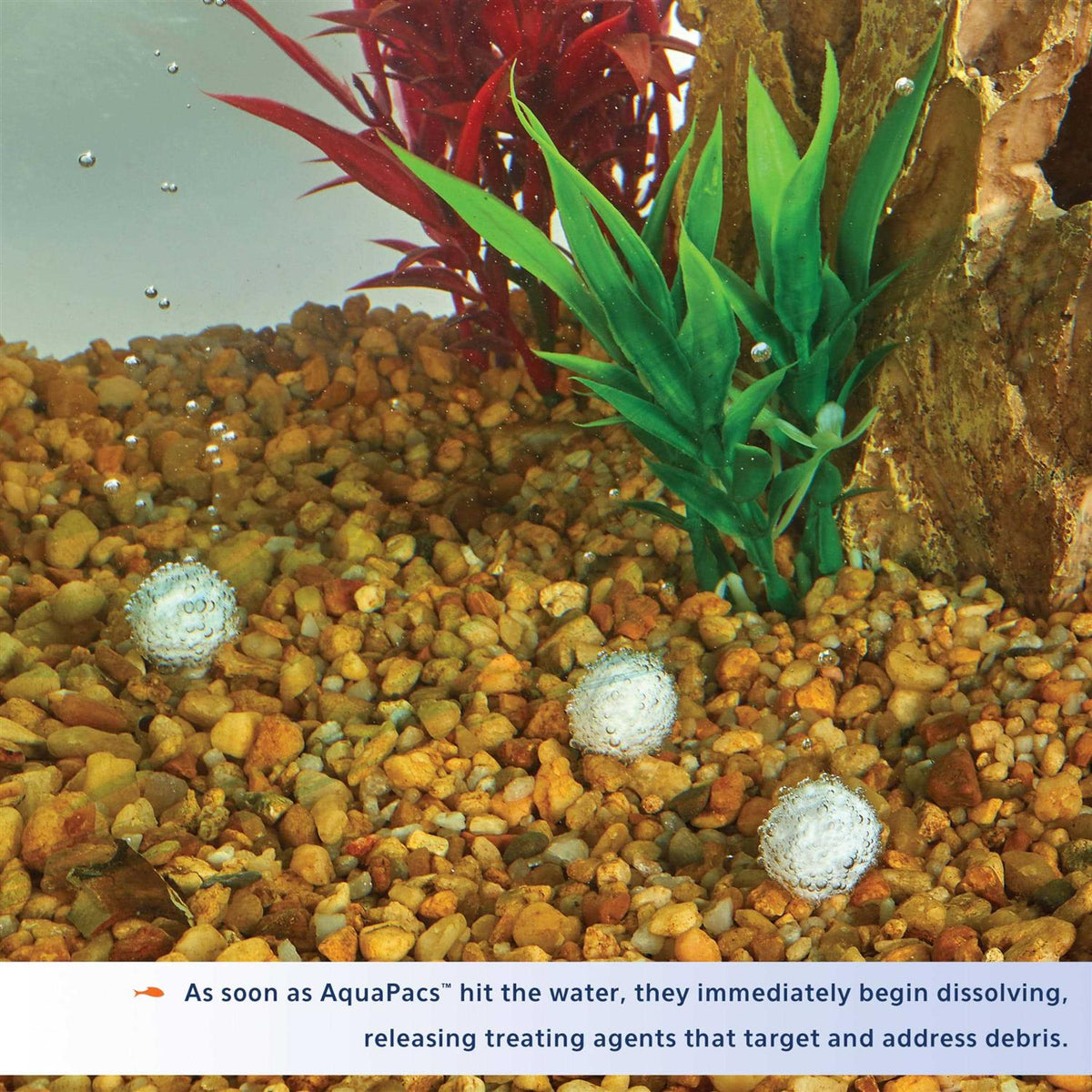 Water Clarifier Q282