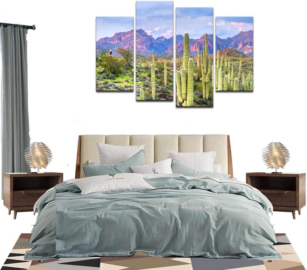 Cactus in Arizona Canvas Print Framed Wall Art L94098