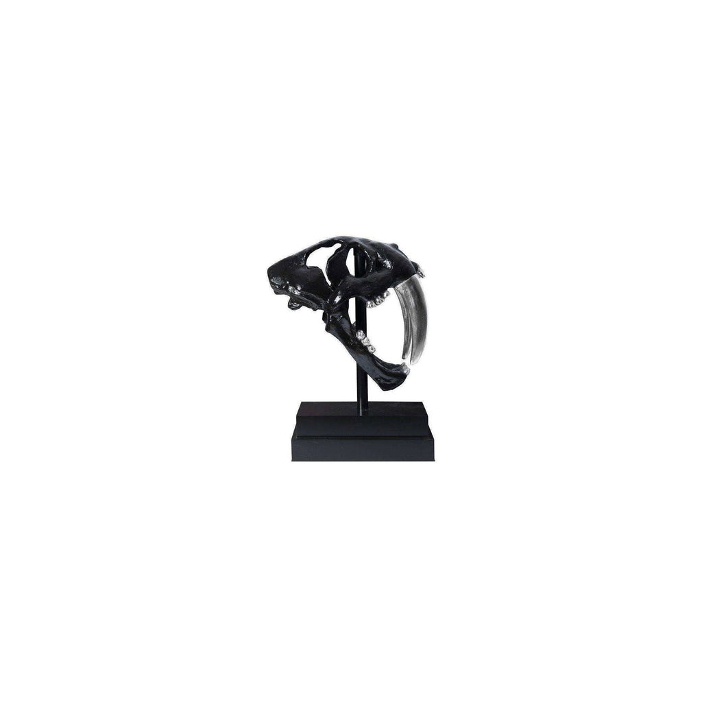 Black Saber Tooth Tiger Skull O600884